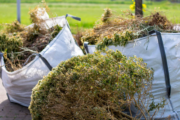 Best Estate Cleanout Services  in Rushvle, IL